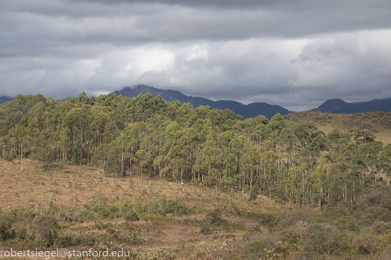 minas gerais